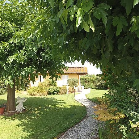 Piscina Privata Tiger Home, Toscana Capannori Eksteriør bilde