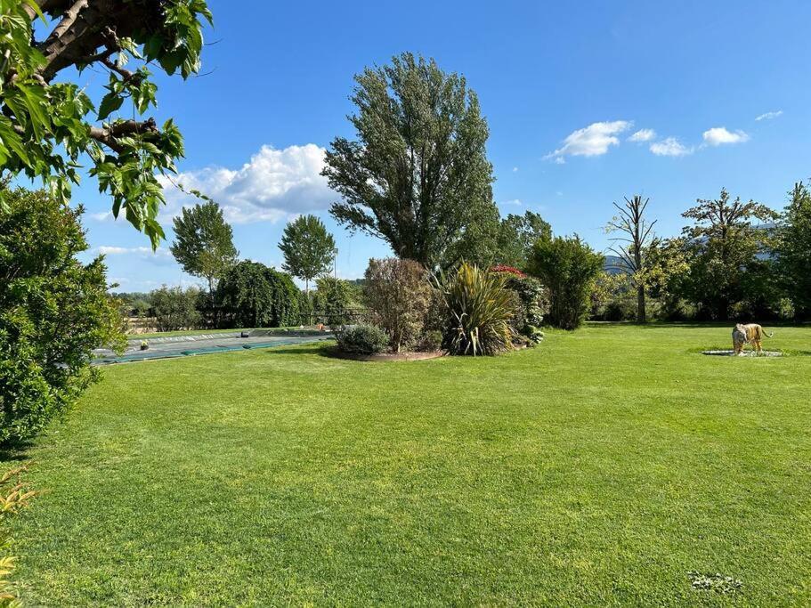 Piscina Privata Tiger Home, Toscana Capannori Eksteriør bilde